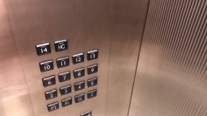 VLOG: Первый день в ОАЭ // Что едят в Арабских Эмиратах?