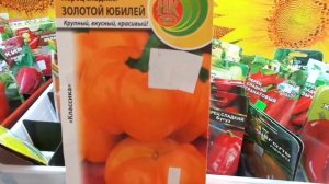 КАКОЙ ПЕРЕЦ ВЫБРАТЬ? СОРТ ЗОЛОТОЙ ЮБИЛЕЙ. Обзор Ольги Черновой.