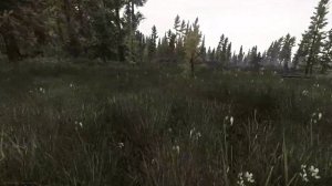Escape From Tarkov - Гайд на Штурмана