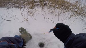 "За окунем на малую реку" - часть 2я - ловля окуня на безмотылку в декабре.