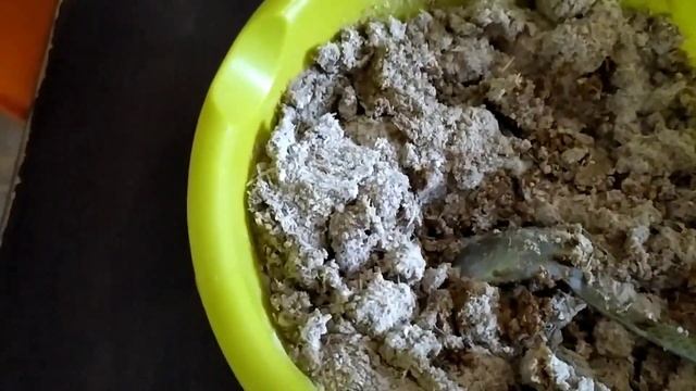 КОРМ ДЛЯ ЦЫПЛЯТ/ РЫБИЙ ЖИР/МЯСОКОСТНАЯ МУКА