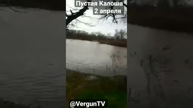 Калоша отдыхает #рыбалка #verguntv #fishing #рыбалка_в_каменском #fish #весенний_клев