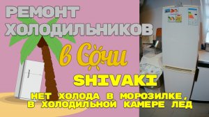 Ремонт холодильника Shivaki, не морозит.