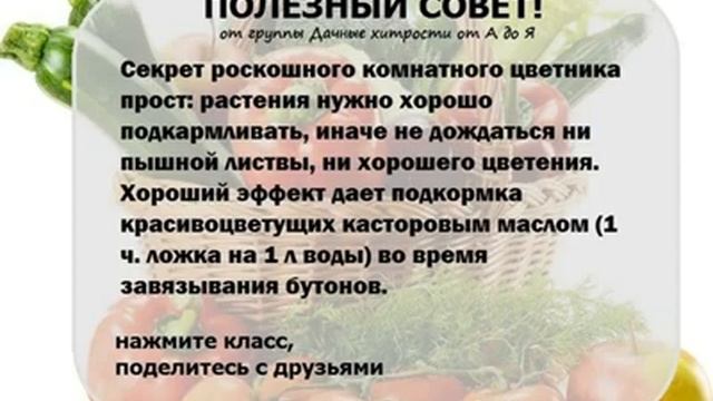 Полезные советы Дачникам и садоводам Дачные хитрости от А до Я 7