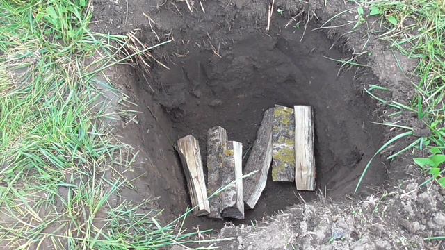 Висаджування інжиру в сад: яма, гумус, парасоля смотреть онлайн