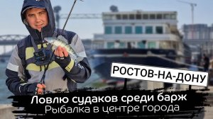 Кого поймал под баржами в центре города Рыбалка на спиннинг в центре Ростова. Открытие сезона 2023