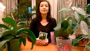 ОРХИДЕИ УХОД _ КОРНЕВИН ДЛЯ ОРХИДЕЙ _ ВРЕД , ИЛИ ПОЛЬЗА _