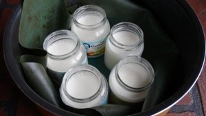 Йогурт из Активии