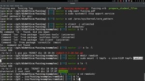 [13/13] Intro to reverse and binary exploitation: Fuzzing