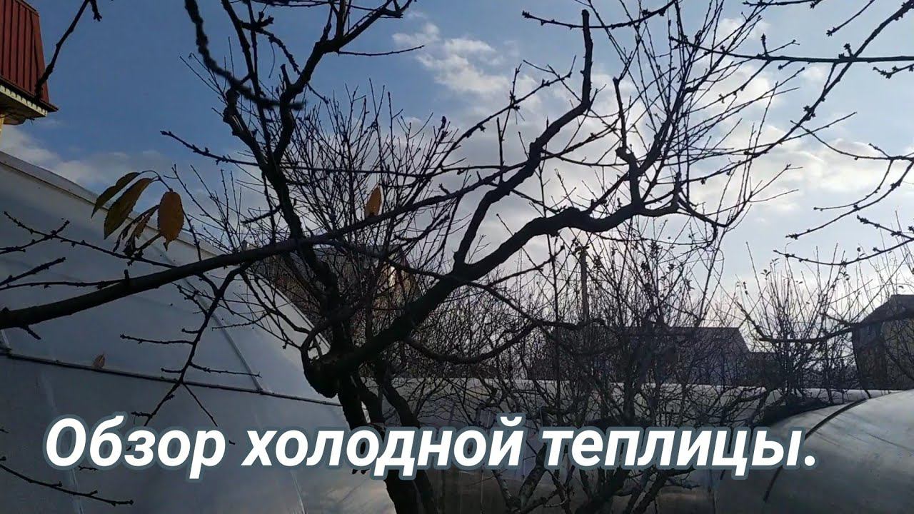Обзор холодной теплицы. Декабрь 2019.