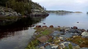 Летняя губа Белого моря