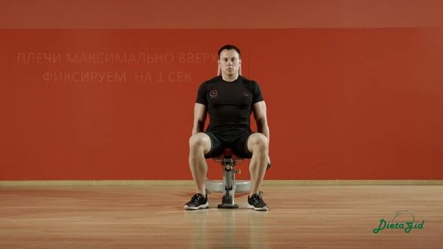 Шраги с гантелями сидя смотреть онлайн