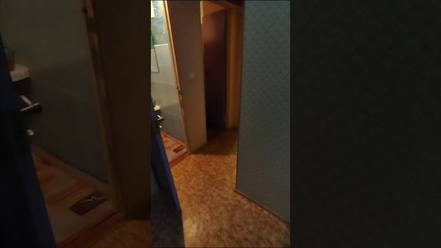 VID-20230728-WA0003.mp4