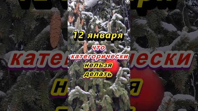 12 января народный праздник Анисьин день: что категорически нельзя делать  #приметы  #приметыдня