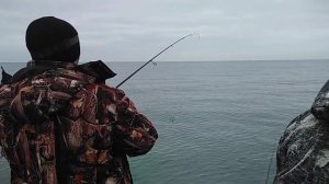 Рыбалка в  Анапе 2020   9 ноября  Сарган на Центральном пляже