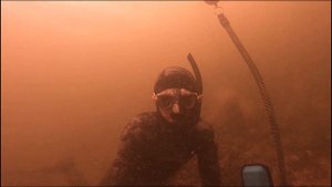 freediver живой тест драйв 2