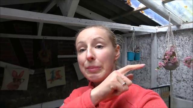 Эти кролики меня удивляют. Великаны и декоративные карликовые кролики разных пород