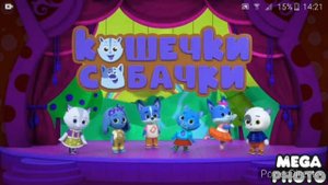 кошечки-собачки effects