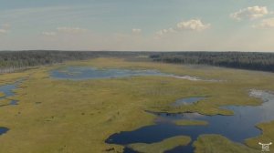 Каллеловский разлив