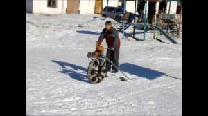 Каракат ЖУК фильм1