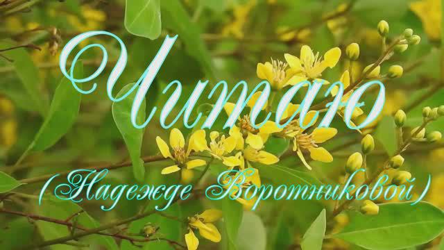 Читаю. Стихи, декламация и видеоряд - Евгений Доставалов