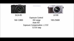 Nikon DL24-85 vs Panasonic LUMIX LX100