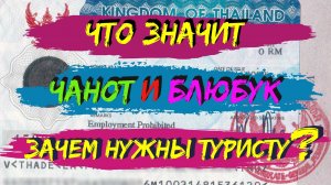 А что такое чанот и блю бук? Получение виз. Тайланд и Паттайя сегодня. Зачем нужен туристу?