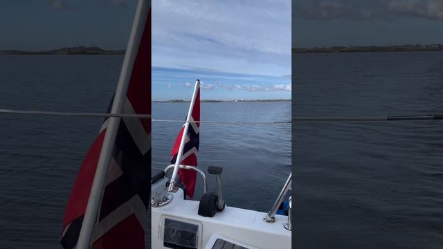 What sailers do with no wind 🤣 #sailing #norway #sailboat#saillife#adventure #cute#dog