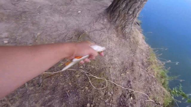 Рыбалка на озере на поплавок. Махалка в дугу, плотва с варежку из кустов. Тесто выручает не раз. смотреть онлайн