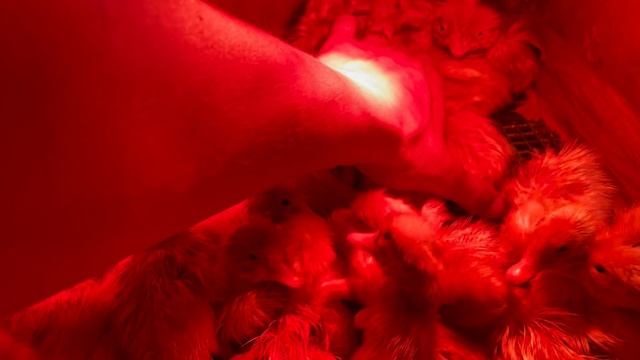 20-06-2023 смотреть онлайн