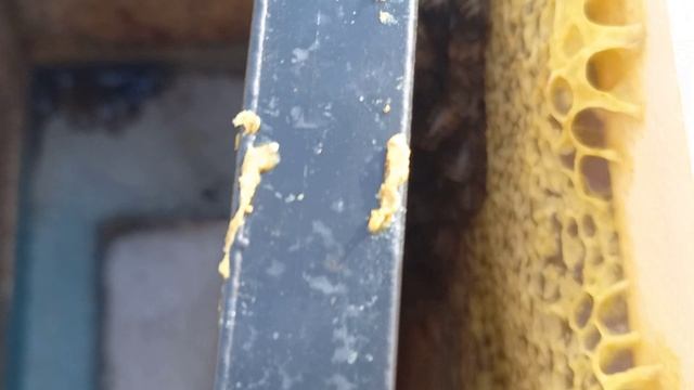 Зимовка продолжается, всё обо всём смотреть онлайн