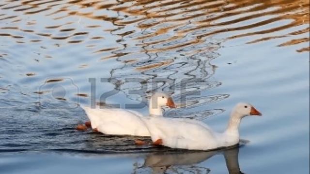 Мой фильм .ПЕСНЯ О ЛЮБВИ И О ВЕСНЕ!