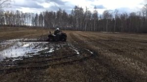 Русское бездорожье против CF Moto x5 H.O EPS