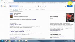 Как найти информацию по картинке.Поиск человека по фото