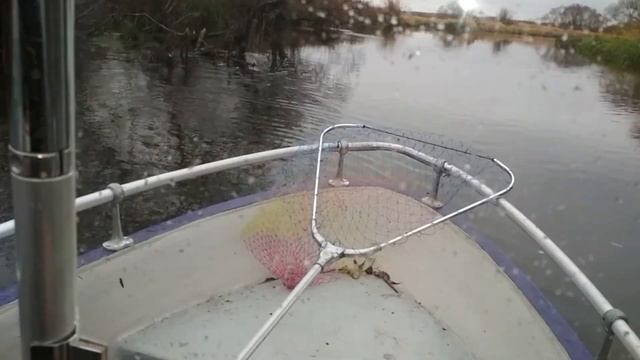 Тест на воде Suzuki DF 9 9 после прошивки в 20 л с смотреть онлайн