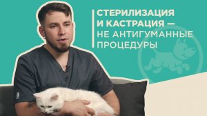 Стерилизация и кастрация