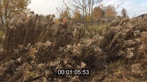 Сравнение триммеров FS с ножом (часть 2) | Comparison of Stihl FS 250 & FS 450 trimmers with a blad