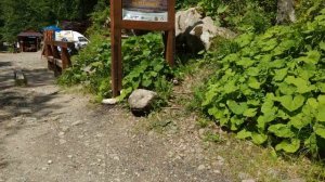 Украина, Карпаты. Яремче. Водопад Гук. г.Маковица