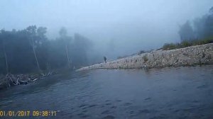 Рыбалка на Дальнем востоке! р. Соболевка! Тихоокеанский лосось! Gad Fair, Daiwa 17 Exceler LT 2500X