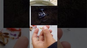 приманки для мормышинга как выбрать и не ошибиться