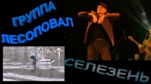 Гр. ЛЕСОПОВАЛ  - СЕЛЕЗЕНЬ