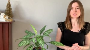 РАСХЛАМЛЕНИЕ ДОМА И МЫСЛЕЙ К НОВОМУ ГОДУ | МИНИМАЛИЗМ