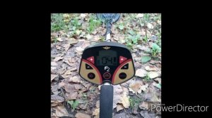 Какой покупать металлоискатель.Какой не брать .Каким пользовался я сам и пользуюсс