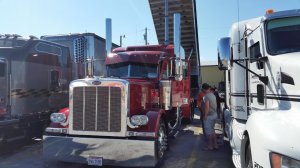 США. Осмотр 2015 Peterbilt 389.