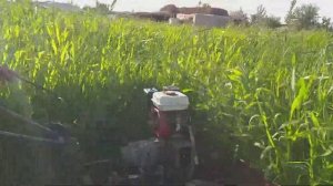 Самодельный мотоблок жатка,,