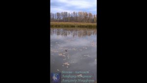 Рыбалка. Способ ловли на живца.