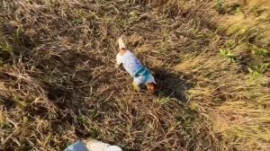 VLOGE| утро моего выходного дня| как я гуляю с собакой?