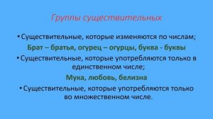 Число имён существительных. Единственное и множественное.