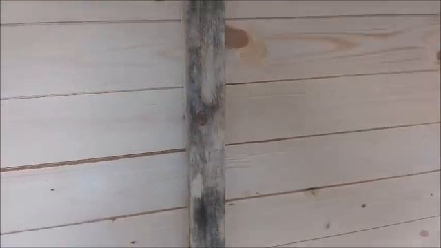 Влог/ Дачные выходные 8.06 - 9.06.2019/купили бытовку/ смотреть онлайн