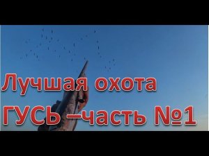 Лучшая охота по ГУСЮ часть №1